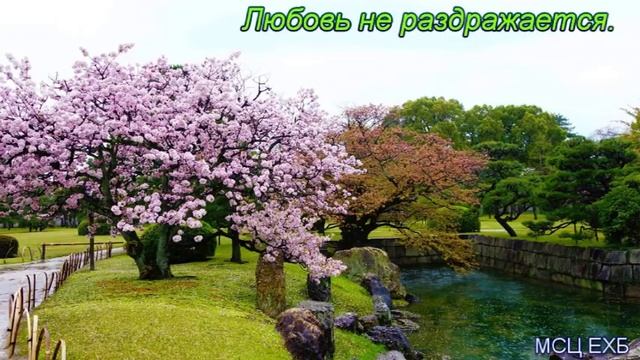 "Любовь не раздражается". А. Сенцов. Проповедь. МСЦ ЕХБ. смотреть онлайн
