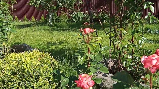 ТРОЯНДИ 1ч. смотреть онлайн