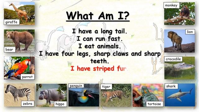 P1 Unit 6 Animal Riddles смотреть онлайн