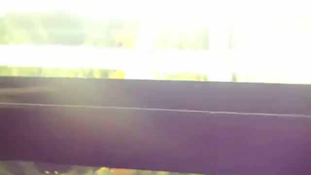 Аквариум на 250 литров. смотреть онлайн