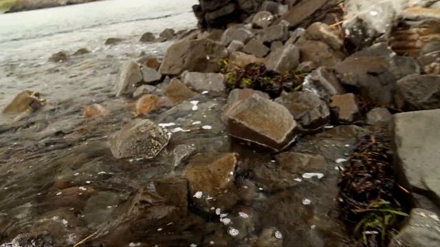 Полуостров из вулканов: Удивительная история Краббе возрастом 40 млн. лет смотреть онлайн