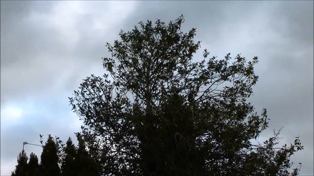 Panasonic HDC-SD800 Full HD Camcorder Test #2 смотреть онлайн