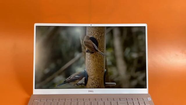 [Review Nhanh] Đập hộp Dell Inspiron 5502 laptop mỏng nhẹ thiết kế siêu đẹp смотреть онлайн