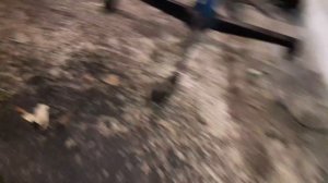 Ford Kuga двухмассовый маховик- поломка.Поломка сцепления.Стук в Кпп.