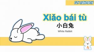 Xiao Bai Tu - White Rabbit Lyric Mandarin Kid Song Nursery Rhymes