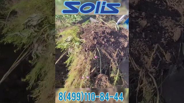 Трактора Solis в сх смотреть онлайн