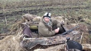 ПОЛНОЕ ПОГРУЖЕНИЕ В ГУСИНУЮ ОХОТУ. ОХОТА НА ГУСЯ НА КОРМОВОМ ПОЛЕ