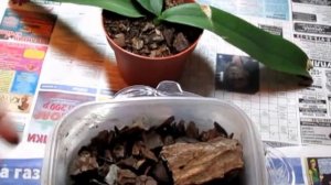 Кора не готова к посадке орхидей Плесень!!!