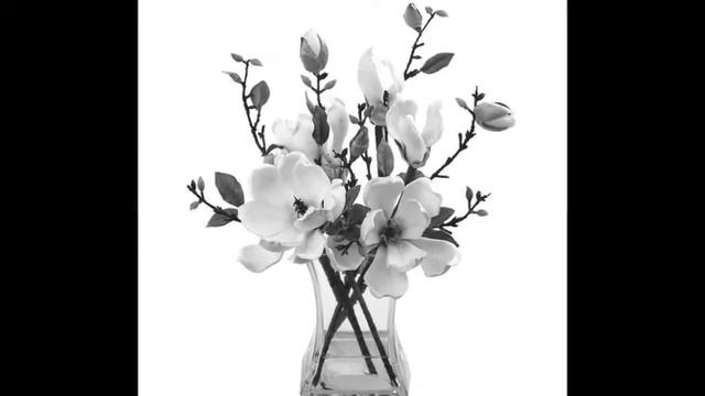 Îmbracă-mă în Primăvara Ta   Versuri : Ioan Grigoraș & Liliana Trif