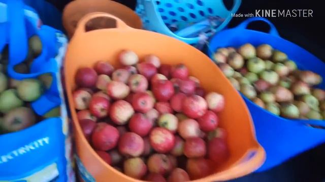 ГЕРМАНИЯ//ВЛОГ//КАКАЯ КРАСОТА//БОЛТАЕМ смотреть онлайн