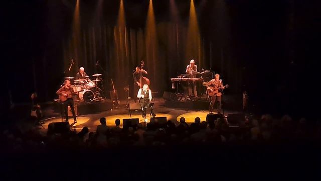 Steve Harley - Absolute beginners ( bowie cover ) смотреть онлайн