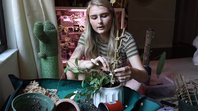 Repot With Me | Chit Chat & Get to Know Me! (where I went? new job?) смотреть онлайн