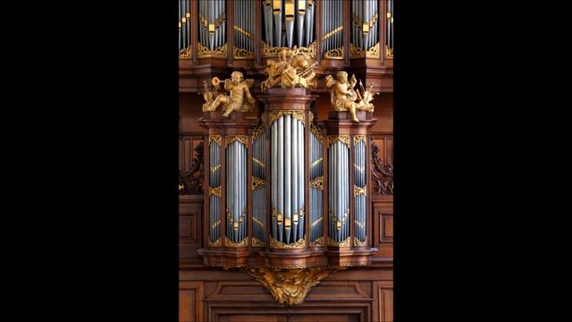 Bewerking over Psalm 16 (Joost Schellingerhout) Hans orgelbespeling uit Den Haag смотреть онлайн