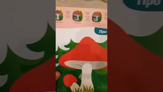 многоразовые развивающие карточки для занятий по лепке детям от1 до 2 лет.