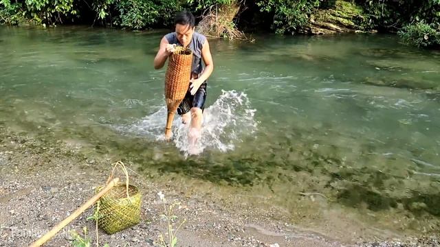 Primitive Skills: Fish trap (This is the way to trap fish when you want survive the forest) смотреть онлайн