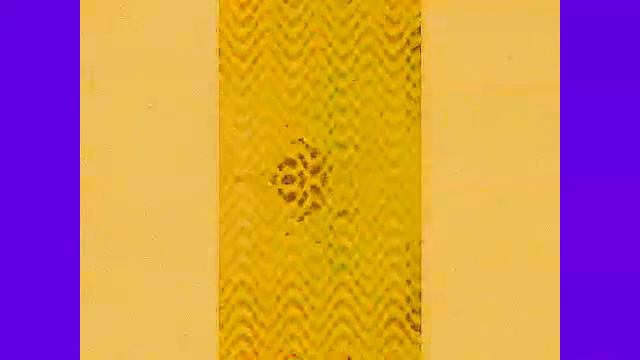 king leoric вонючий вокруг сырье кадры должны смотреть смотреть онлайн