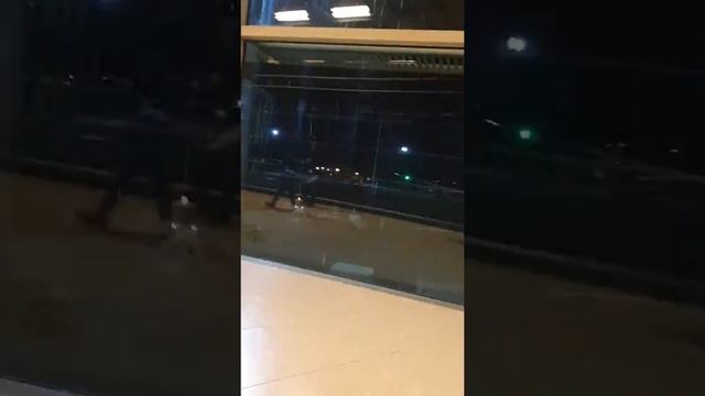 arrived at amman airport смотреть онлайн