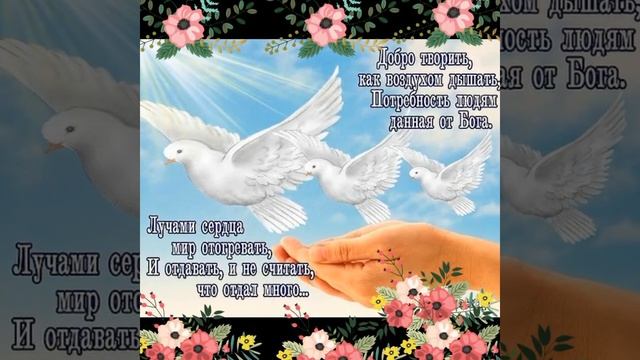 Доброта спасет мир!!! Чудесное видео! Поделись своей добротой! смотреть онлайн