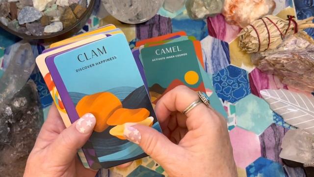 Oracle Card Flip Through - Animal Power Deck: 75 Animals to Awaken Your Magic Cards - Alyson Charle смотреть онлайн