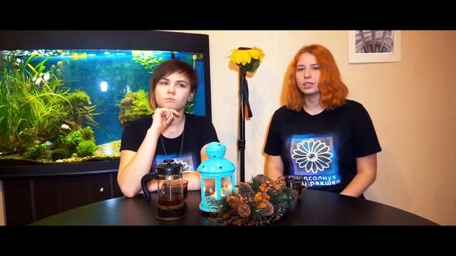 ЧТО ТАКОЕ ПОДСОЛНУХ КВАДРАКШЕН? смотреть онлайн