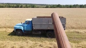 Комбайн Нива СК-5 /УБОРКА ОЗИМОЙ ПШЕНИЦЫ\