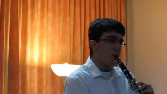 Concierto para clarinete No 3 Carl Stamitz - עדי זלמנוביץ смотреть онлайн