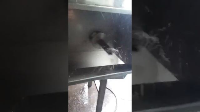 Устройство резки и зачистки кукумарии смотреть онлайн