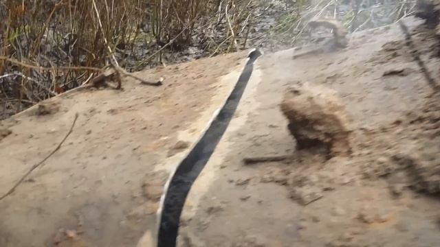 НАШЕЛ МЕДЬ. СУПЕРНАХОДКА!!! смотреть онлайн