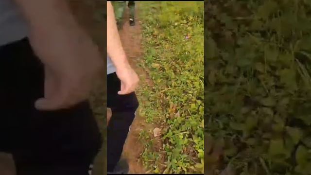 прогулка в лес смотреть онлайн