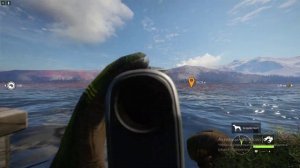 theHunter  Call of the Wild охота на утку каменушку гайд.