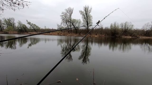 РЫБАЛКА на КАРАСЯ. КАРАСЬ на ПРУЖИНУ ранней весной. Сезон 2019. смотреть онлайн