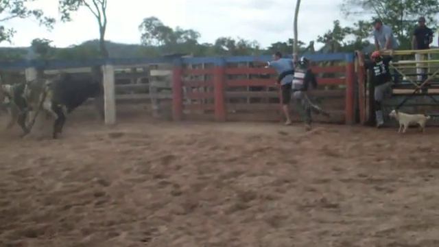 Paulo Isidoro Alves x PIT BULL смотреть онлайн