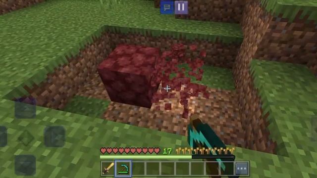 к нам в деревню проник свиной зомби