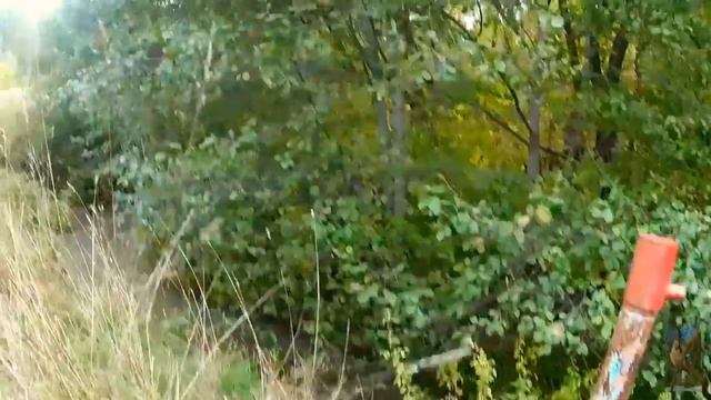 Родниково - ключевая сеть смотреть онлайн