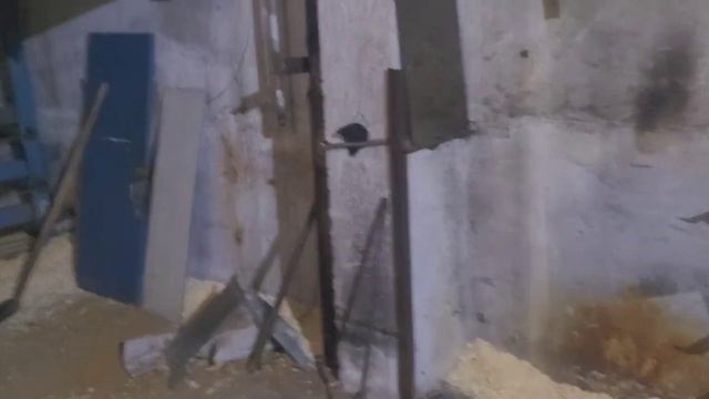 свиноводство! запуск новой клетки малость про переселение... смотреть онлайн