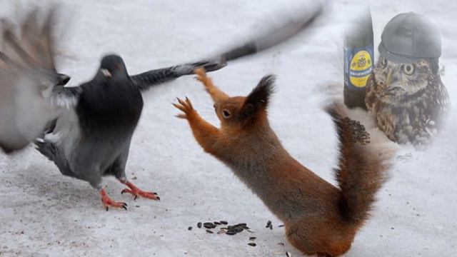 Природная медицина