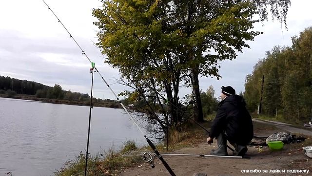 Егорьевский Рыбокомбинат платная рыбалка 10 пруд смотреть онлайн