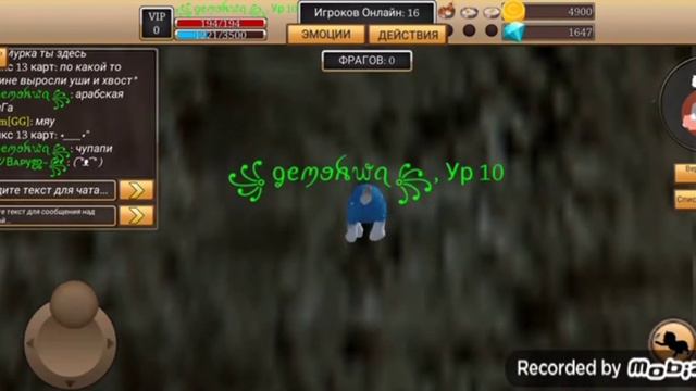 мойдень  в симулятор кота/симулятор кота-жизнь животных/