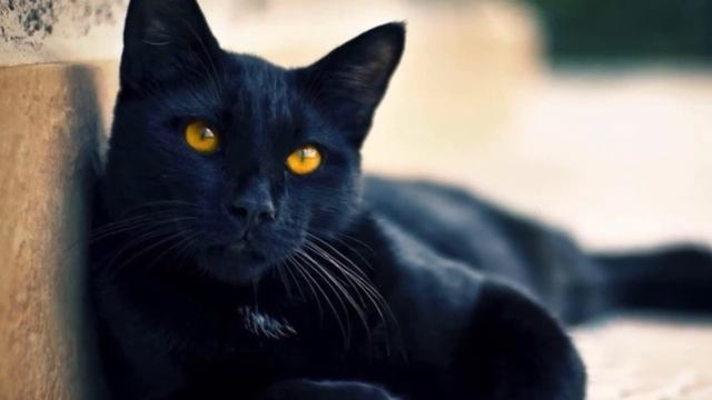 Что нельзя делать на кладбище ? Категорически запрещено , иначе будет беда ! Обязательно к просмотр смотреть онлайн