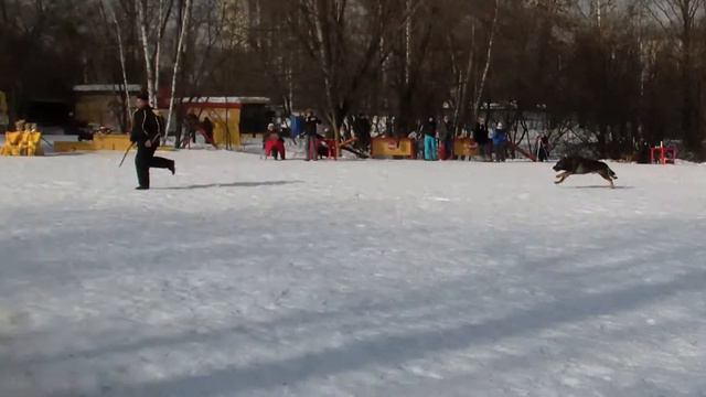 РР 23 февраля 2013 г. смотреть онлайн