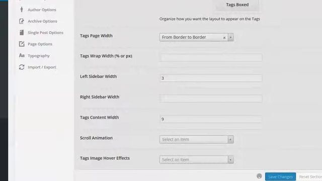 19- The Best News Theme Tags Template Options - Wordpress Theme смотреть онлайн