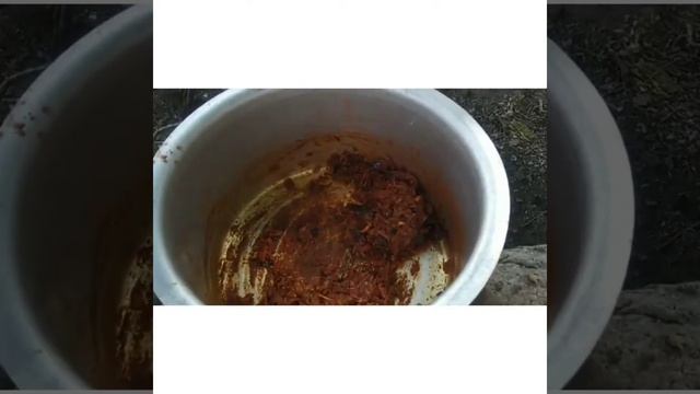seraga samba chicken biriyani ?//MG's village food ❤️❤️//healthy food смотреть онлайн
