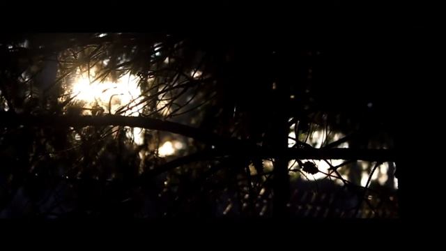 Sunshine | Canon 650D | Cinematic Sequence смотреть онлайн