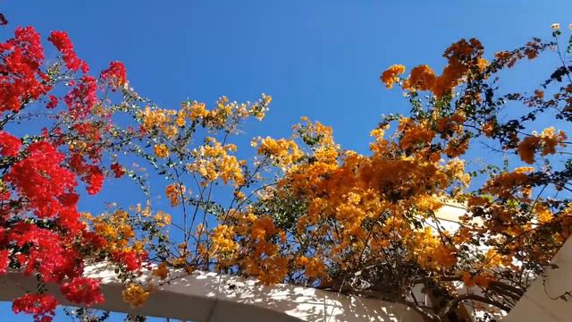 Восторг от Puerto de Mogan, о. Гран-Канария. Декабрь. смотреть онлайн
