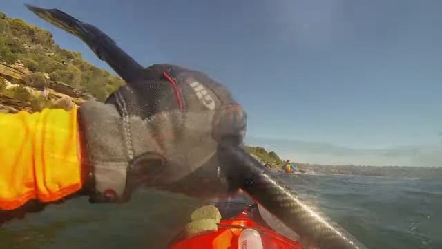 Stellar Trial Day смотреть онлайн