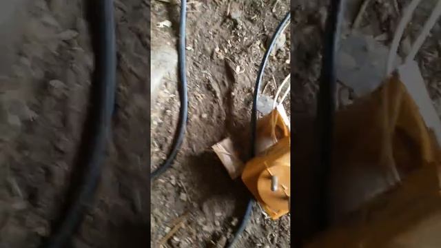 преобразаватель 12-220  на CD4047BE