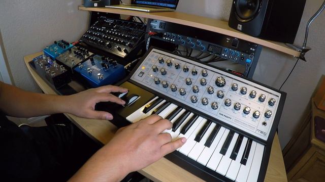 Moog Sub Phatty Strymon BigSky, Timeline, And Mobius