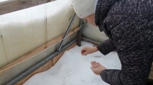 Посадка редиски в теплицу на снег.