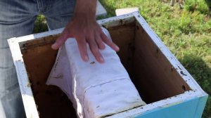 Деление семьи пчел на пол-лёта