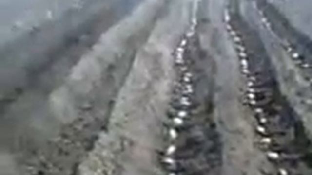 Сажаем картофель.mp4 смотреть онлайн